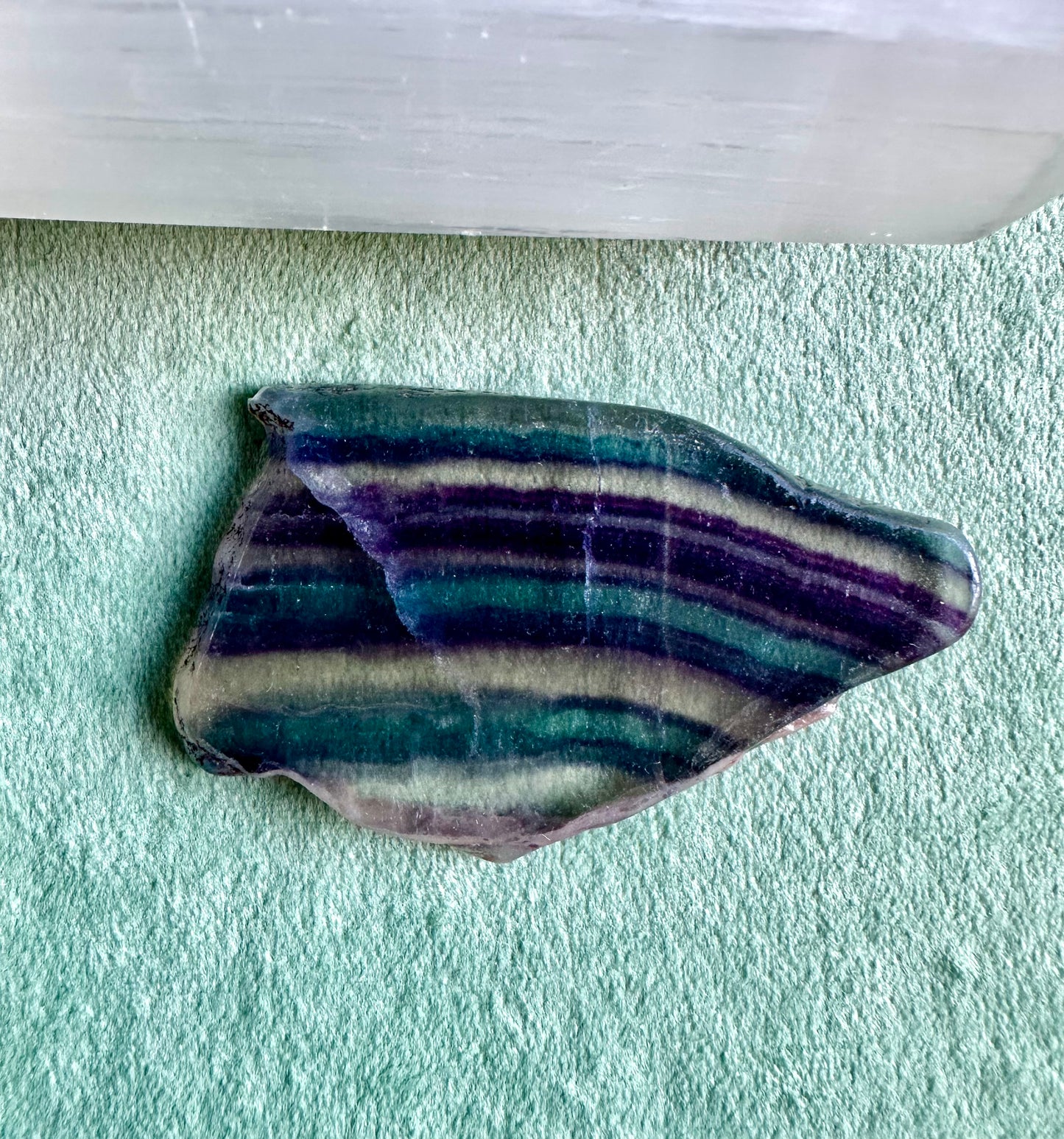 【スペイン発・全世界送料無料】フローライト