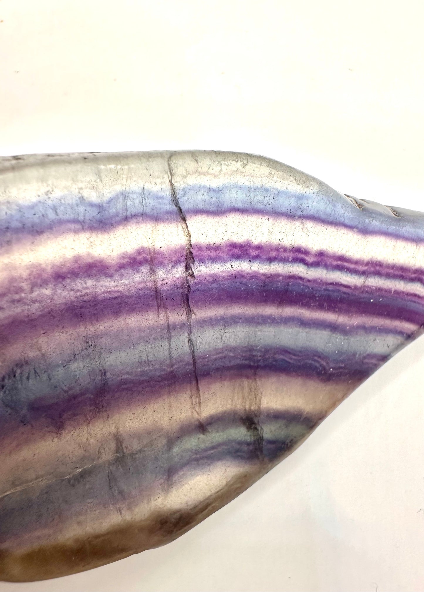 【スペイン発・全世界送料無料】フローライト