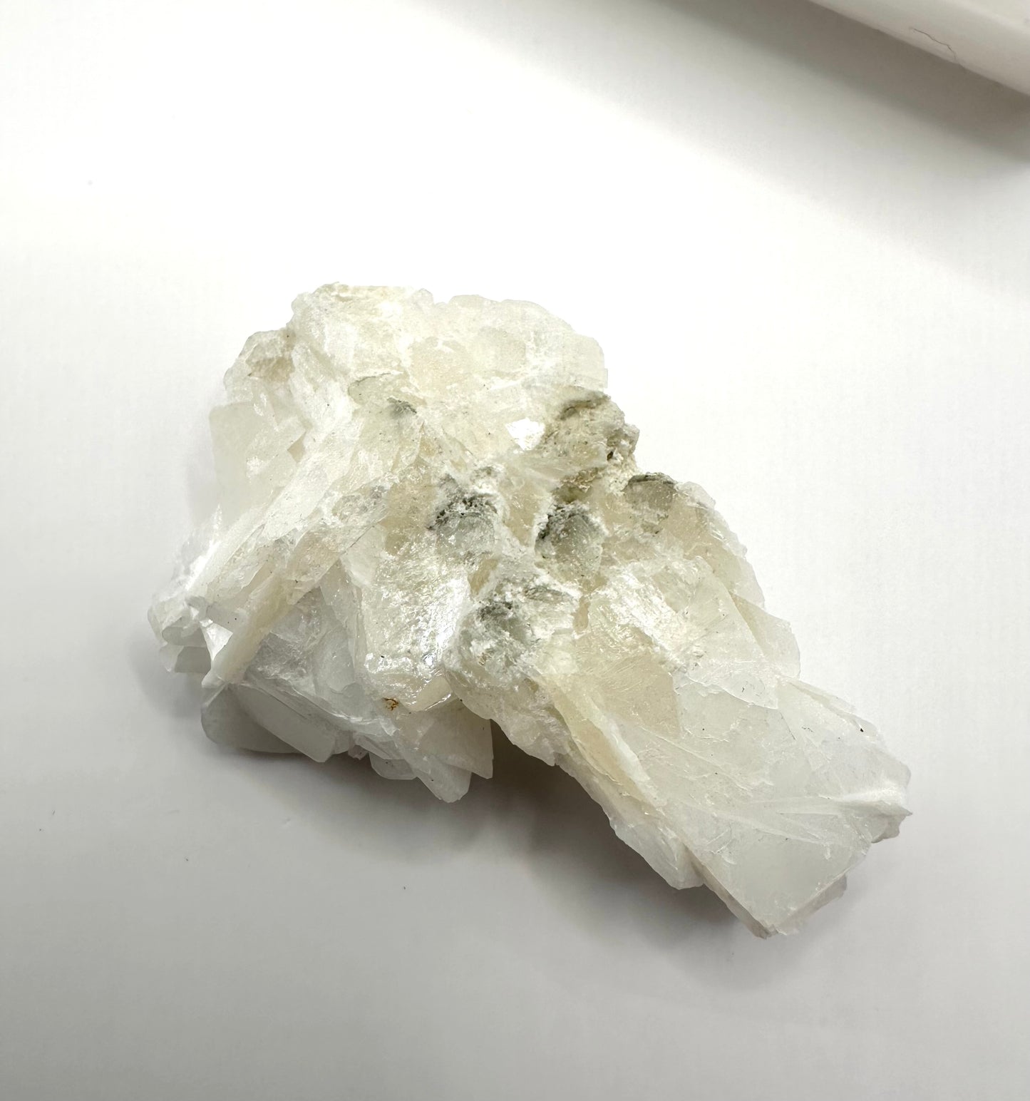 フラワーカルサイト