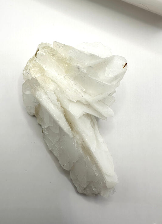 フラワーカルサイト